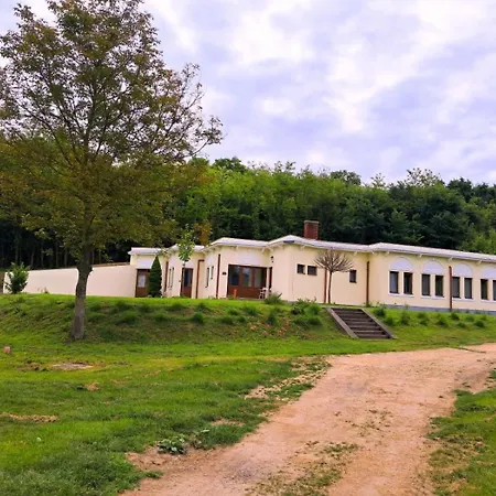 Elephant * Somogyvámos